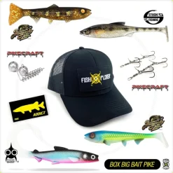 Box Découverte Fishxplorer Pike Addict Big Bait