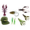 Box Découverte Fishxplorer Creature Deal