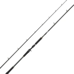 Canne Casting Abu Garcia Beast X2