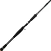 Canne Casting Deps Hugecustom Genoma Hg3-65F