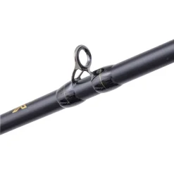 Canne Casting Illex The Artist X5 B 215 Mh Black Sword
