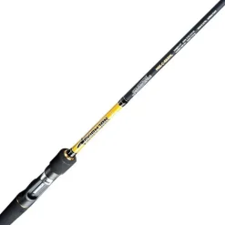 Canne Casting Molix Skirmjan Freshwater