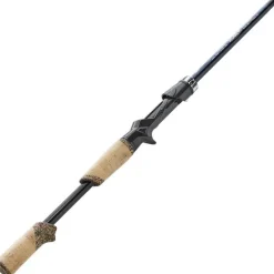 Canne Casting St Croix Legend X2