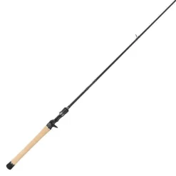 Canne Casting Tailwalk Full Range C65mh/G