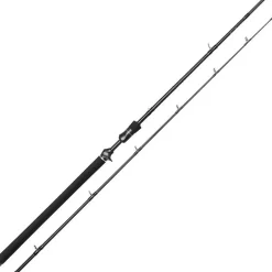 Canne Casting Westin W3 Jerkbait-T 3Rd