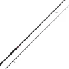 Canne Spinning Adam's Azanori