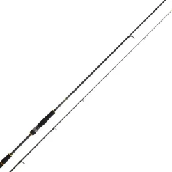 Canne Spinning Daiwa Bg Rf