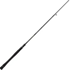 Canne Spinning Ever Green Smooth Torque