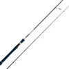 Canne Spinning Smith Dragonbait Seabass Lx