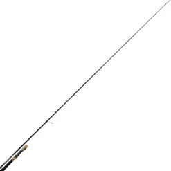 Canne Spinning Tenryu Injection Fast Finess M