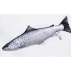 Coussin Truite De Mer Gaby