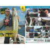Dvd - Gros Brochets Au Jerk-Bait (2 Dvd) Avec Alban Choinier - Peche Des Carnassiers - Video Peche