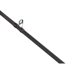 Ensemble Casting Abu Garcia Max Lp Pike Combo