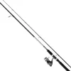 Ensemble Lancer Daiwa Sweepfire + Df