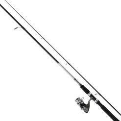 Ensemble Lancer Daiwa Sweepfire + Df