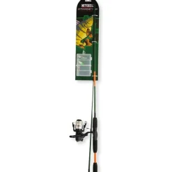 Ensemble Mitchell Carnassier Target Ii Spinning Combo