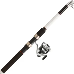Ensemble Spinning Télescopique Daiwa Set Tele Spin