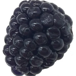 Leurre Souple Adam's Mure - 2.8Cm - Par 8