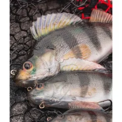 Leurre Souple Armé Fox Rage Ultra-Realistic Perch Replicant