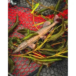 Leurre Souple Armé Fox Rage Ultra-Realistic Pike Replicant