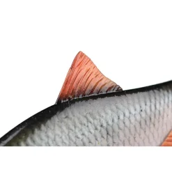 Leurre Souple Armé Fox Rage Ultra-Realistic Roach Replicant