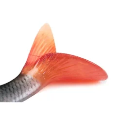Leurre Souple Armé Fox Rage Ultra-Realistic Roach Replicant