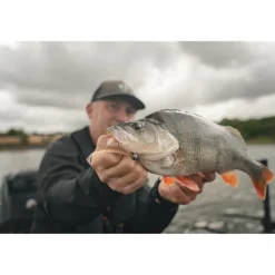 Leurre Souple Fox Rage Scent Shad - 7Cm