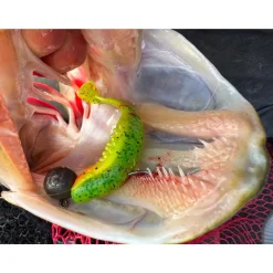 Leurre Souple Fox Rage Scent Shad - 7Cm