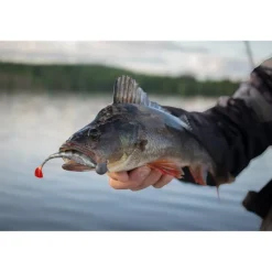 Leurre Souple Fox Rage Scent Shad - 9Cm