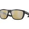 Lunettes Polarisantes Costa Ferg 580G