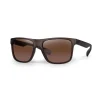 Lunettes Polarisantes Fox Avius