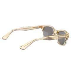 Lunettes Polarisantes Spro Kaneko Wellington Sunglasses