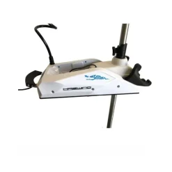 Moteur Électrique Haswing Cayman-B 80Lbs Gps 24V Blanc Version 1.6