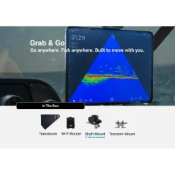 Sonde Accuphy Live Pinglive Mini