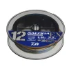 Tresse Daiwa Saltiga 12 Ex - 300M